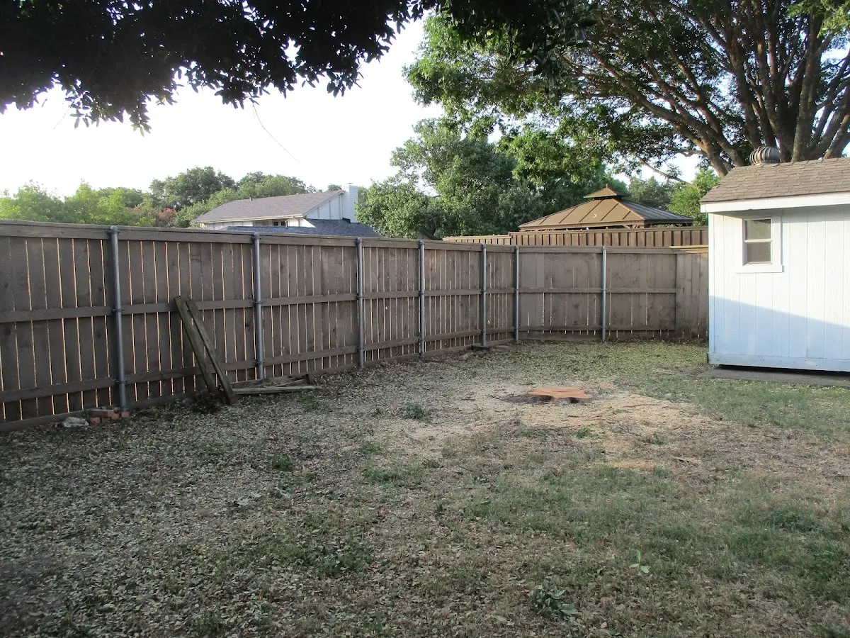 Cleared yard after professional tree removal in Koyuk